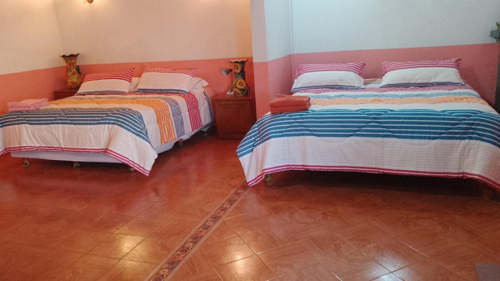 Olivos Habitacion Cuadruple 特基斯基亚潘 外观 照片